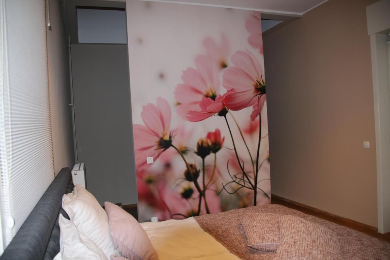B&B Het Doctershoes Kinrooi Exterior photo